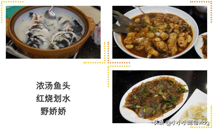 在千岛湖小岛上生活,千岛湖慢生活街区