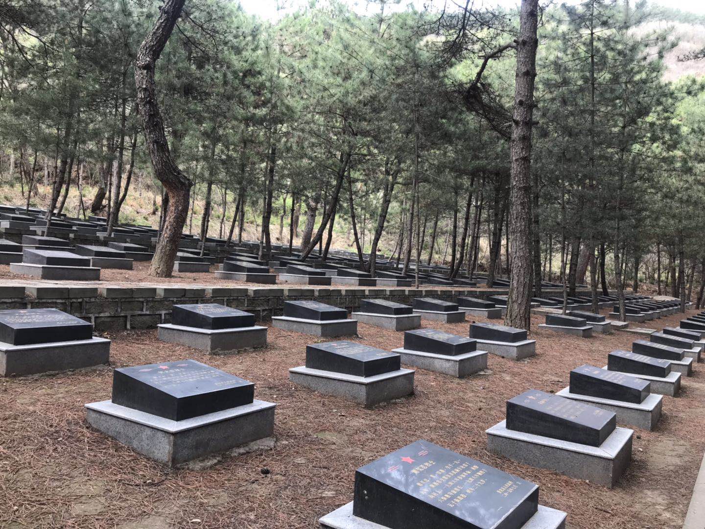 榆林烈士事迹 (羊山战役烈士名字查询)