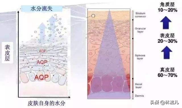 冻龄女神减龄,冻龄女神气质十足