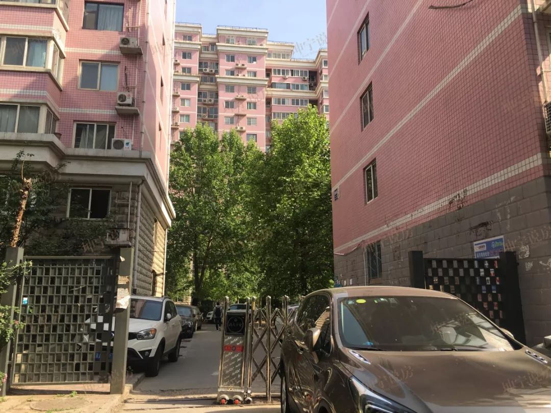 实探学区房,实探一线学区房