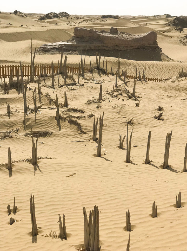 新疆尼雅遗址推广视频,探秘尼雅遗址精绝古城