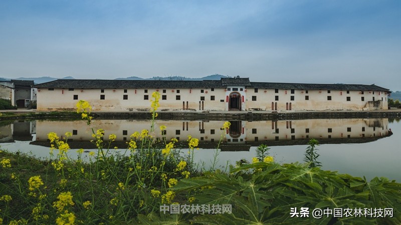 神秘幽静大桂山国家森林公园！一县一品，广西八步农特产品红瓜子