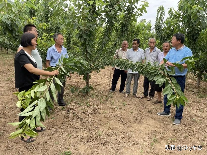 7天3000公里,宝马x57000公里发现烧机油