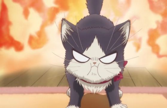 《同居人是猫》一月不容错过的治愈番网友：又想骗我养猫