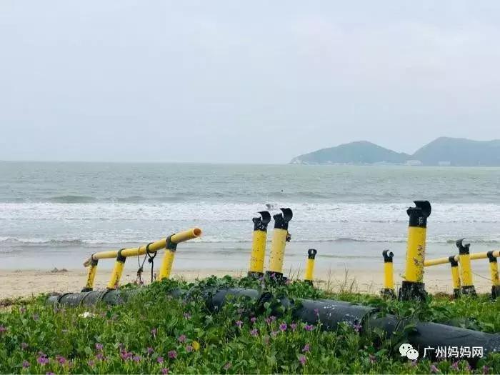 广州夏天带娃避暑最佳旅游地,广州避暑适合小孩景点推荐