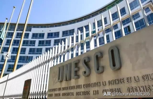 她曾经是联合国最年轻译员，捐出几百万工资后她转行成全球购买手