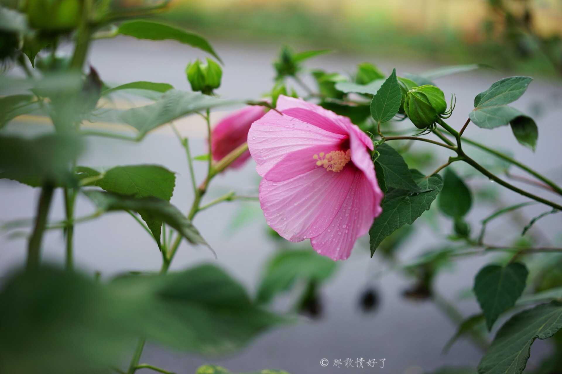 北京昌平带私人烧烤的民宿,昌平京郊民宿