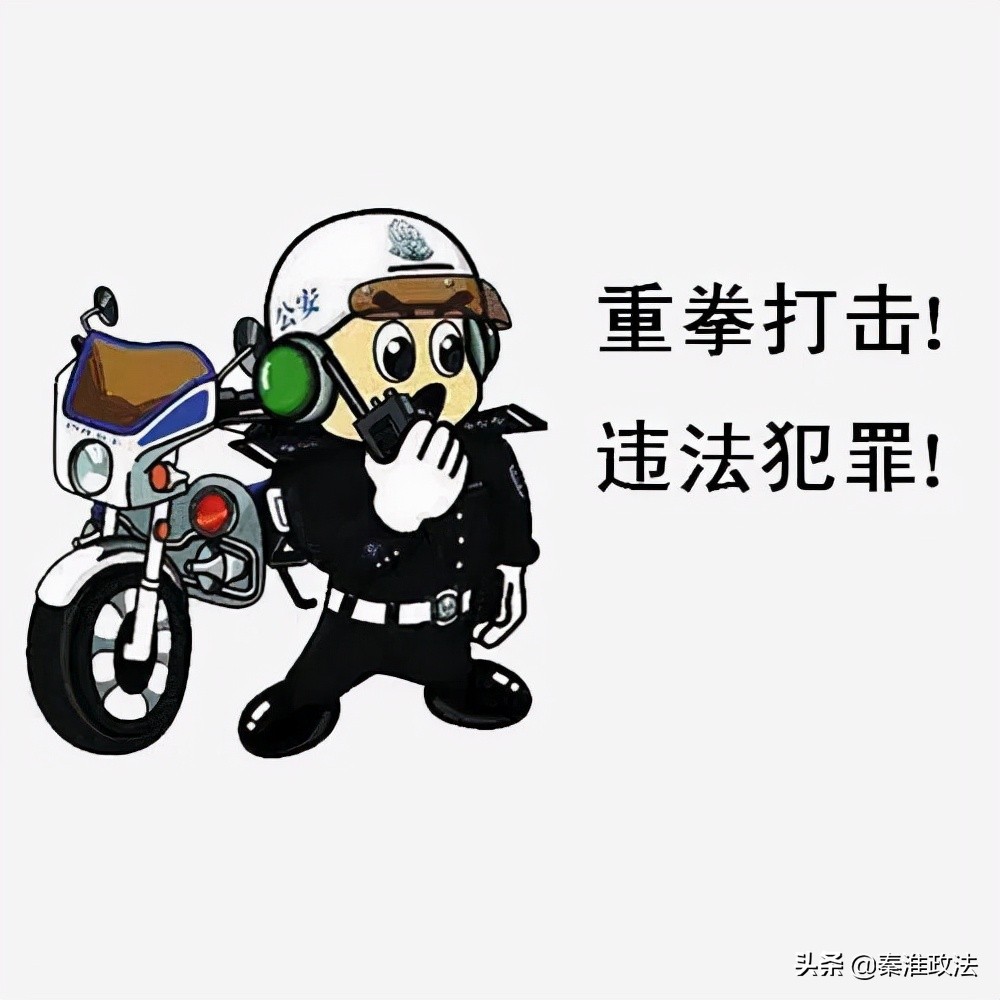 2002年豫皖特大系列杀人抢劫案,河北肥乡519系列抢劫大案侦破纪实