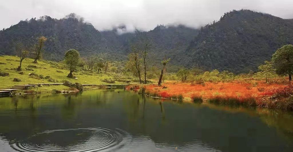 红了！黑竹沟迎来颜值巅峰，分分钟带你穿越五彩童话世界