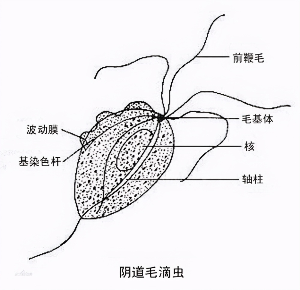 男性尿道炎是什么症状该怎样治疗,男性尿道炎症的危害和预防
