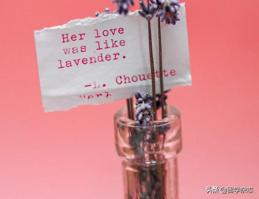 轻奢侈品跨境电商,跨境电商比较有前景的产品