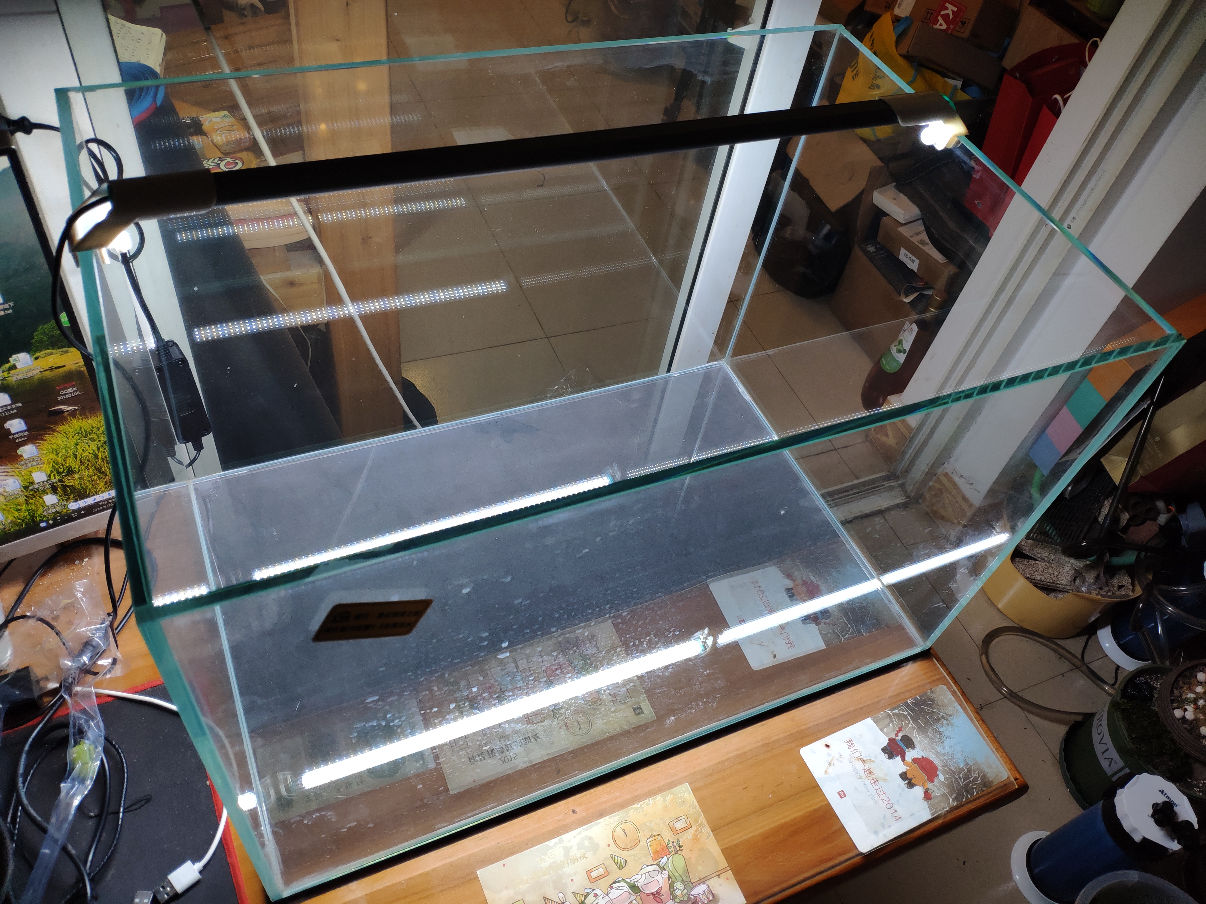 学生养金鱼怎么养,在学校怎么养金鱼存活率才高