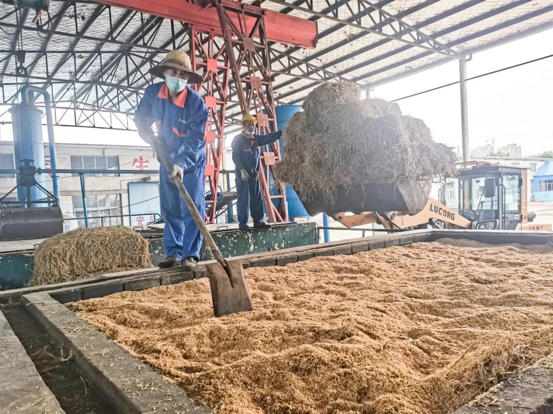 秸秆回收变废为宝新闻,秸秆就是这样变废为宝的