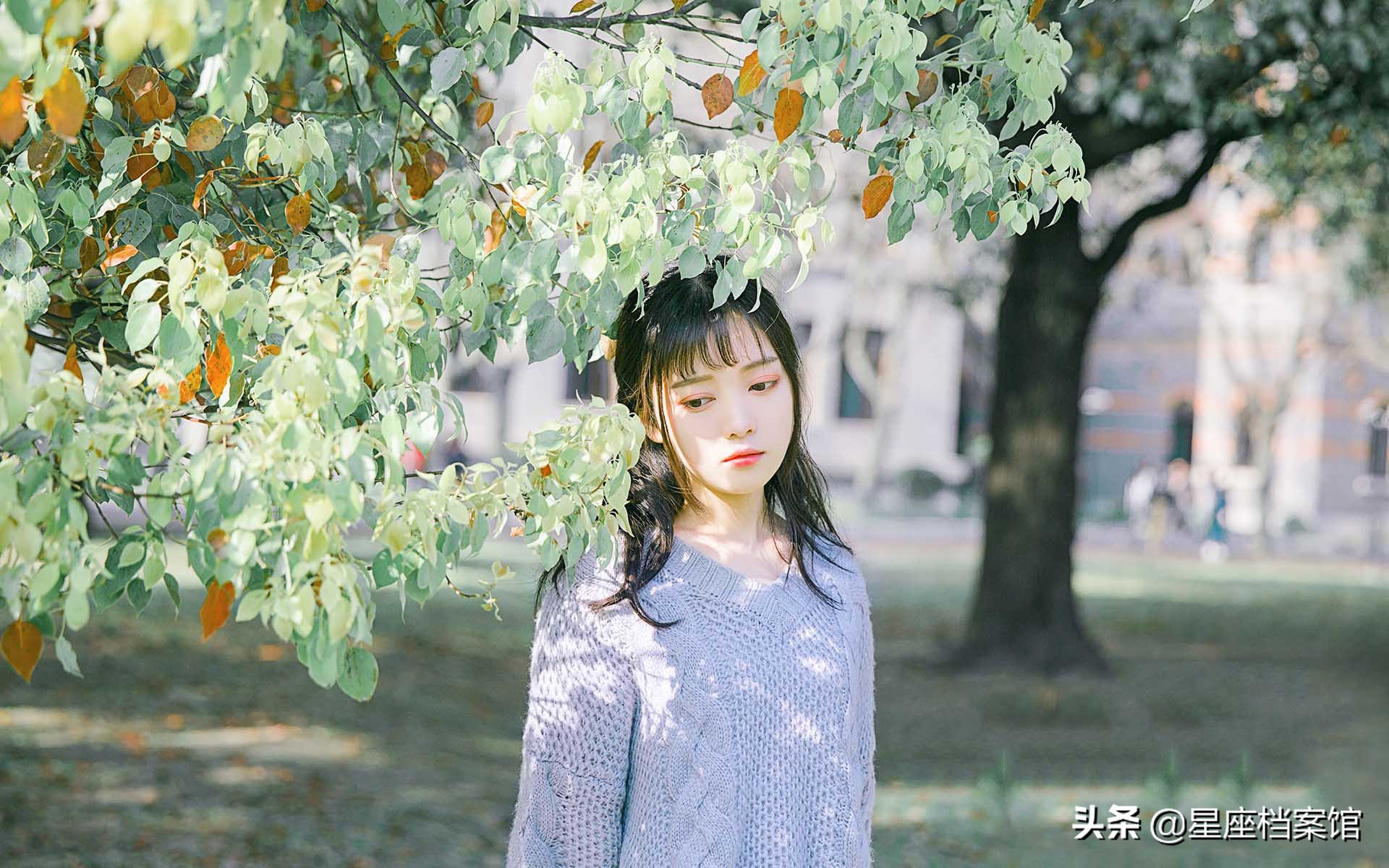 什么星座最忘不了初恋,一辈子都放不下初恋的星座女生