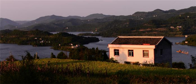 湖库野钓鲫鱼用什么饵料最好,堵塘钓鲫鱼用什么饵料