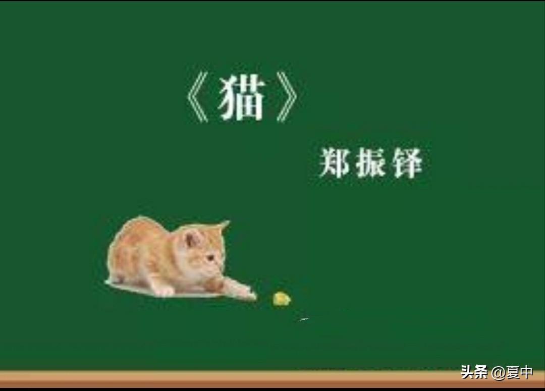 肖家芸的思辨作文课,特级教师窦桂梅教学实录