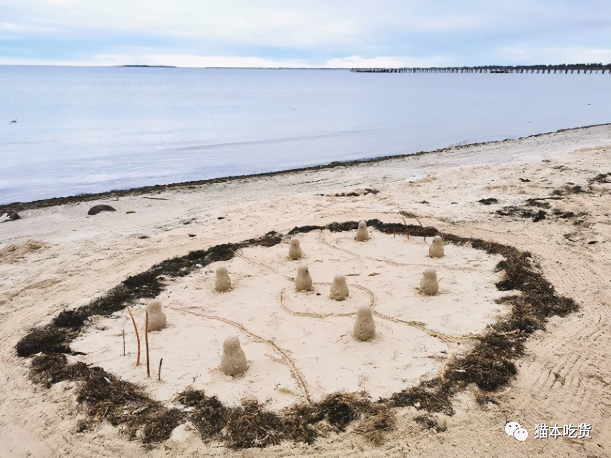 墨尔本小企鹅,墨尔本企鹅完整视频