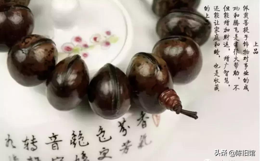 最值得玩的菩提子,真正的菩提子