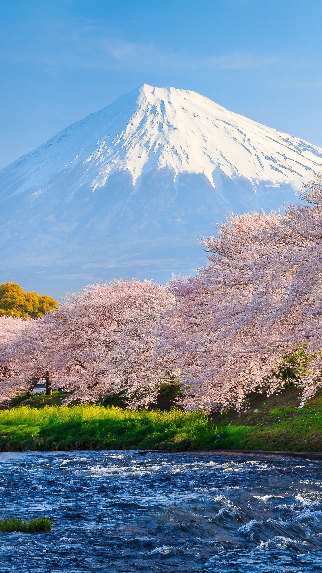 手机壁纸高清全屏2021最好风景,漂亮迷人美女风景高清壁纸