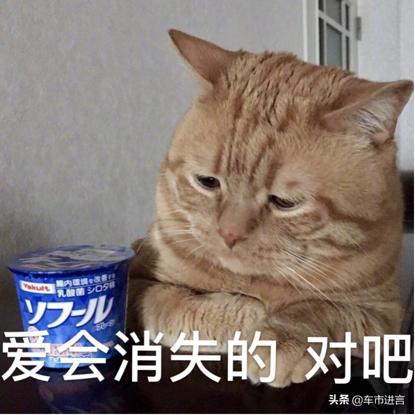 飞度gk5车主自述,本田gk5车主评价