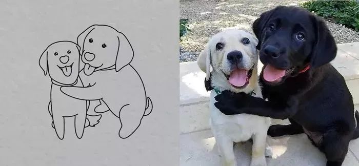 你和大触绘画的区别：一看就会一画就废，这波动物简笔画太形象了
