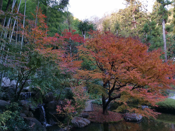 喝不起82的拉菲？那更喝不起50年的山崎