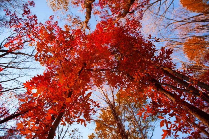 延边迷人风景,延边旅游一日游最佳路线图片