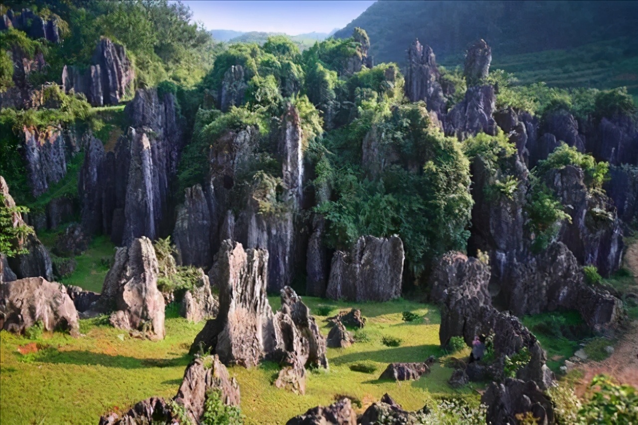 铜仁的一个县，拥有全省最大的天然石林景观，还有一棵楠木王