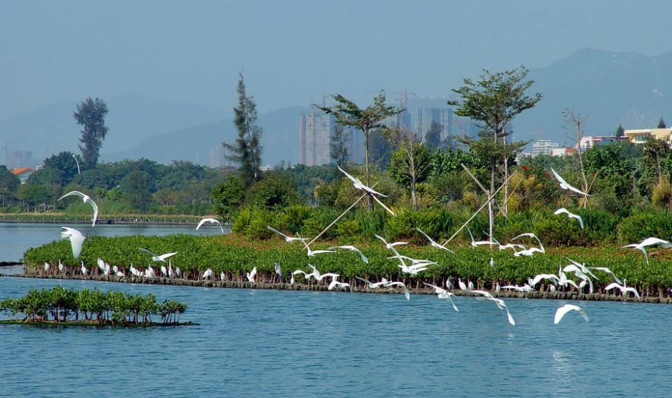 三亚养老公寓过冬,三亚过冬包吃住公寓推荐