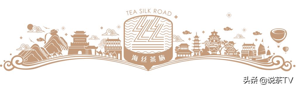 福鼎白茶还有“十不采”规定?让我们去河山有机茶园一探究竟