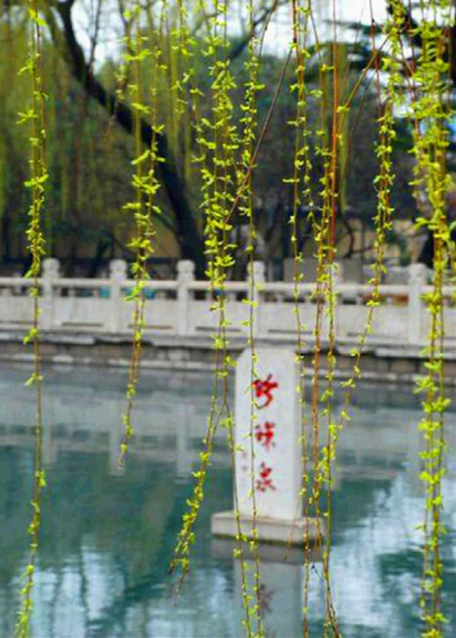 什么茶冷水泡更好喝一点,正确的泡茶方法茶应该怎么泡好喝