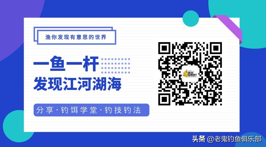 老鬼狂拉系列饵料,老鬼大板鲫狂拉测评
