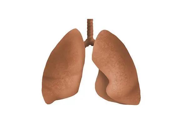 养肺的正确呼气和吐气视频,养肺吐纳呼吸法