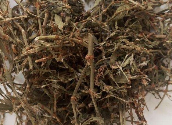 萹蓄功效适应症和用量,中药萹蓄的功效和主治是什么