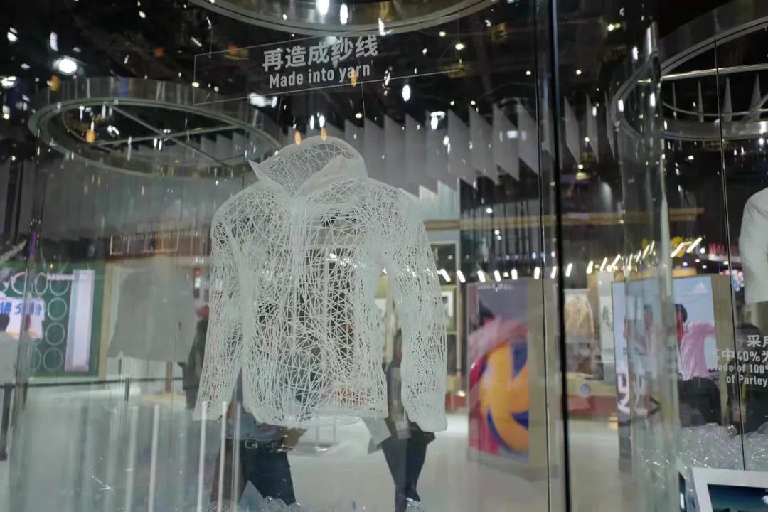 杨晨履历,杨晨与范志毅