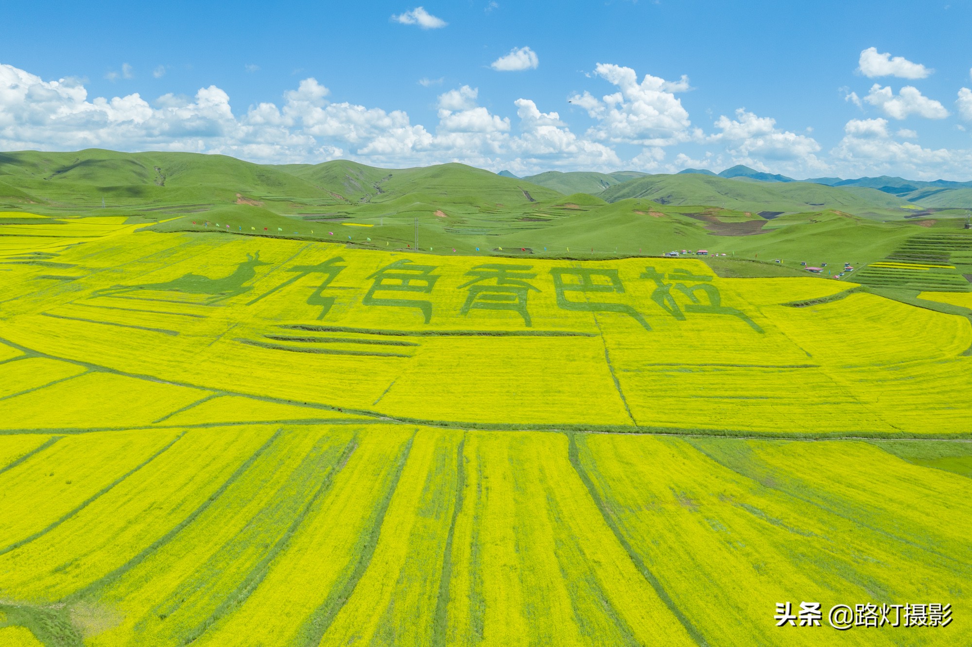 惊艳！八月最佳旅行地，“绝色甘南”美成仙境，所有景区免门票