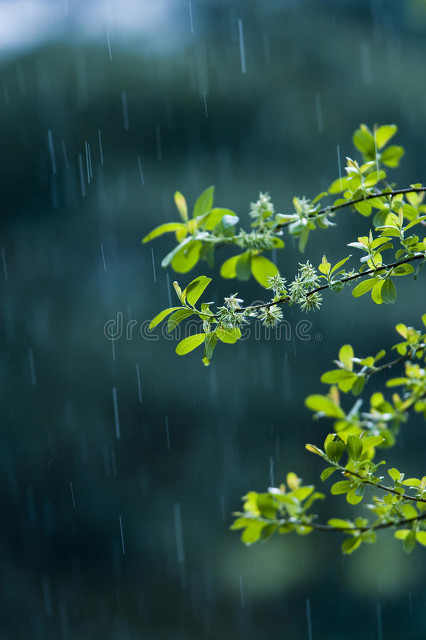 雷雨电闪雷鸣诗词,隐隐轻鸣启蛰雷