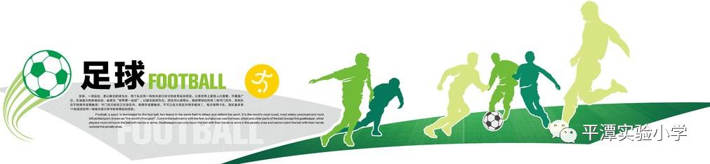 理论心中记实践绿茵行——平潭实验小学举办《足球入门学习》讲座暨足球教师校本教研培训