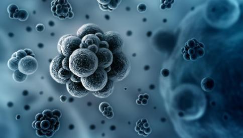 超声聚焦刀可治什么病,子宫腺肌症超声刀治疗怎么样