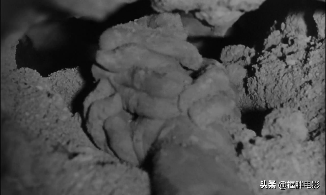 肖申克的救赎挖洞挖了多少年,最伟大的越狱电影肖申克的救赎