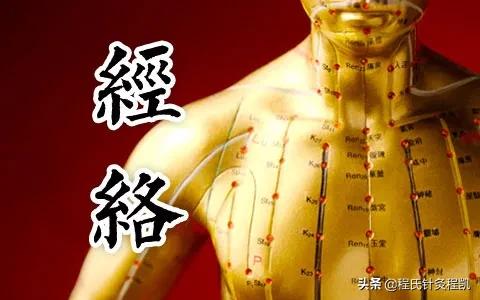 从经络角度认识皮肤病,12经络的认识和作用