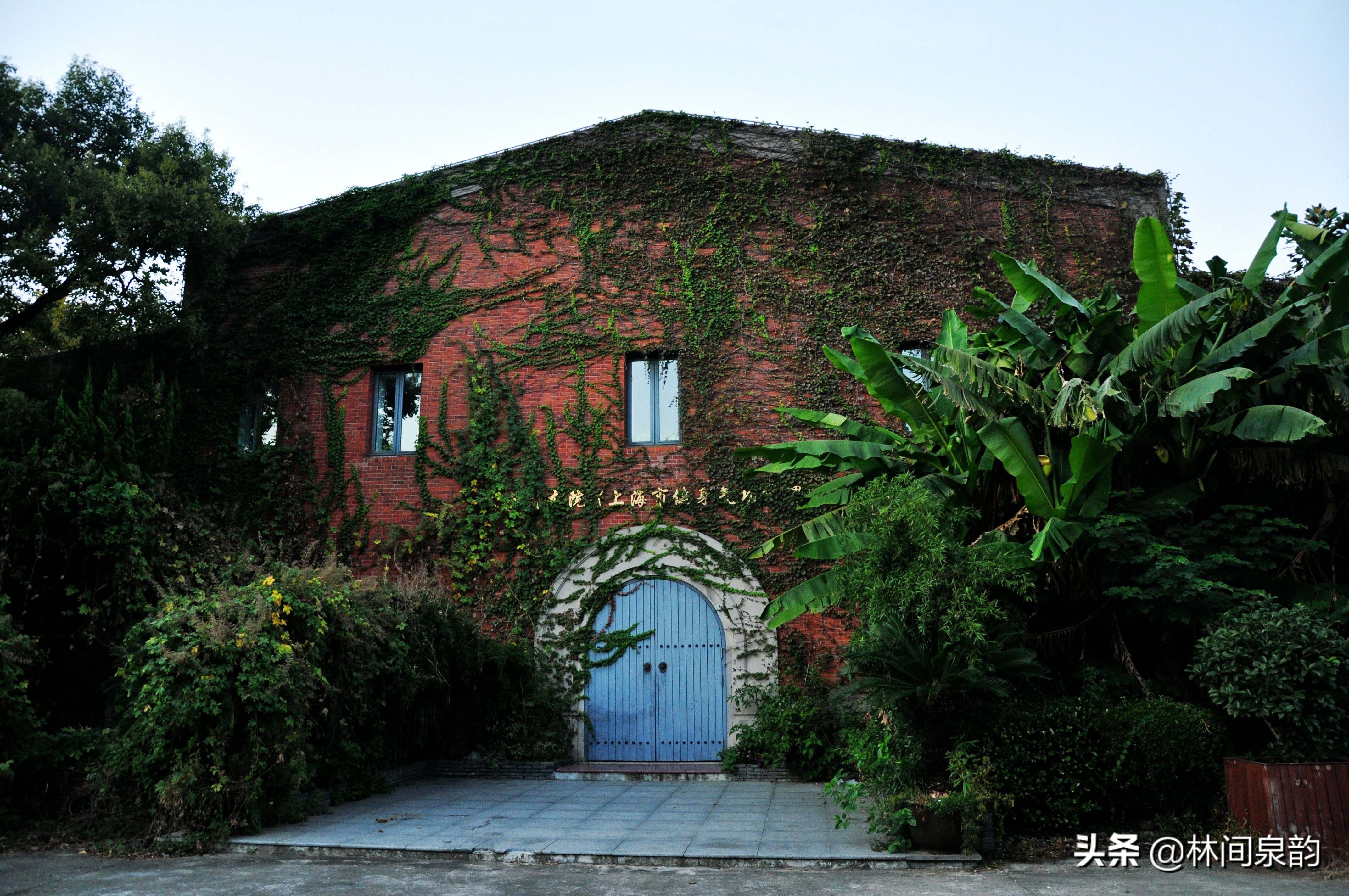 江湾体育场内部图片,江湾体育馆设计