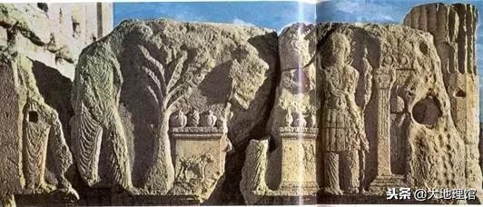 石榴早在2000多年前经过丝绸之路,石榴传奇全书