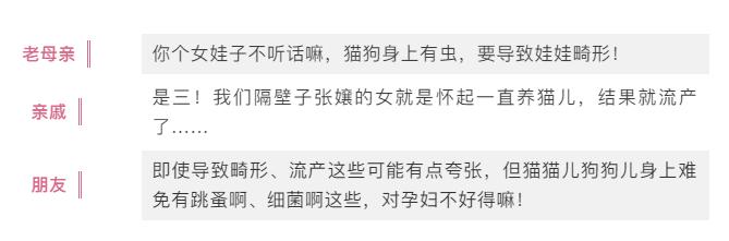 怀孕了能不能养宠物狗狗,怀孕为什么不能养狗狗