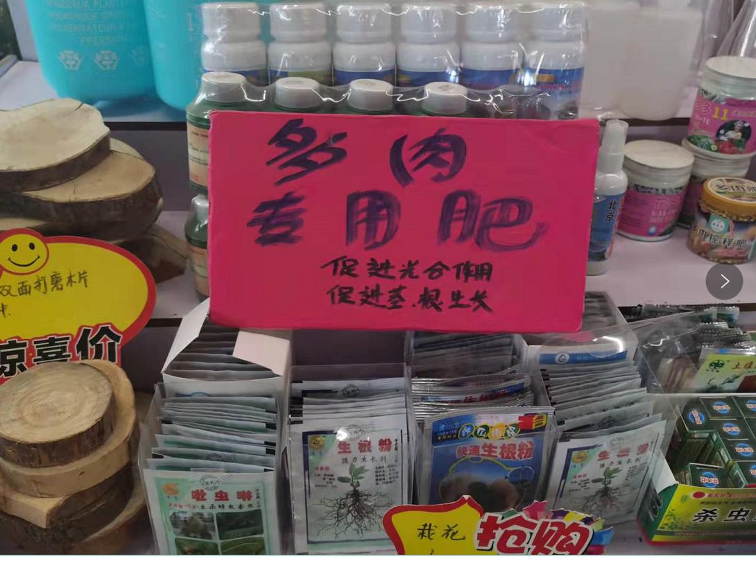 云南斗南花市旅游攻略,昆明地铁五号线到斗南花市