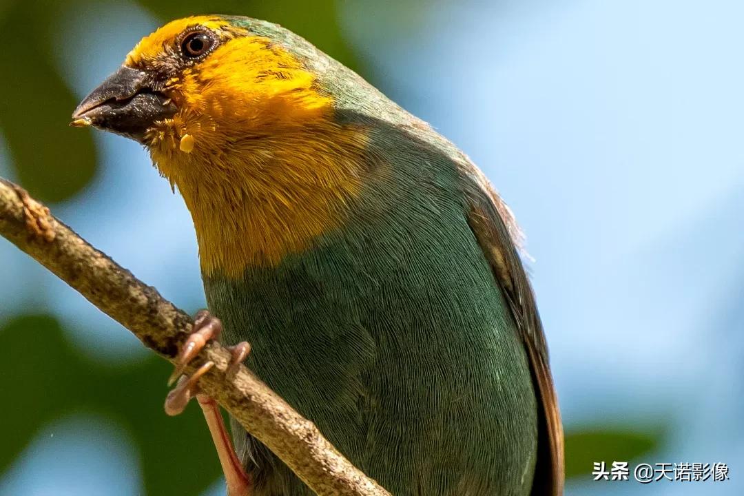 徕卡sl90-280拍人像,徕卡sl24-90镜头与24-70镜头比较