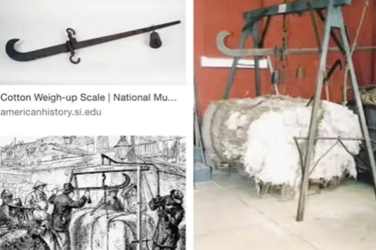 乌合麒麟血棉解析,乌合麒麟怒揭血棉真相