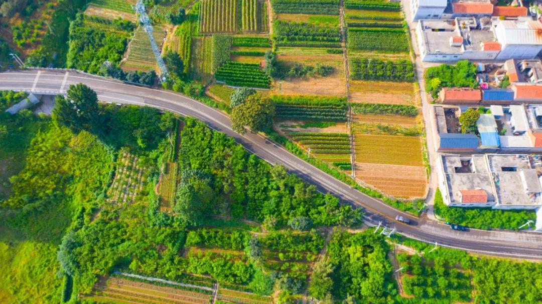 济南黄河入海口自驾游最佳路线图,春节济南出发自驾游最佳线路推荐