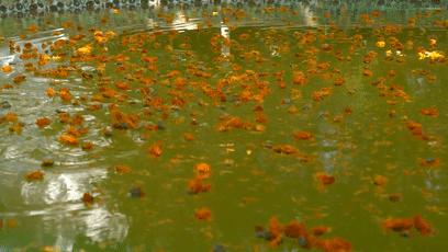 厦门杏博湾天沐温泉度假村,厦门温泉岛内推荐去哪个