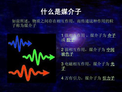 宇称不守恒粒子,宇称不守恒存在于宏观世界吗